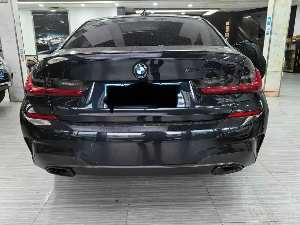 BMW 3 Series 2021 из CN, фото 6