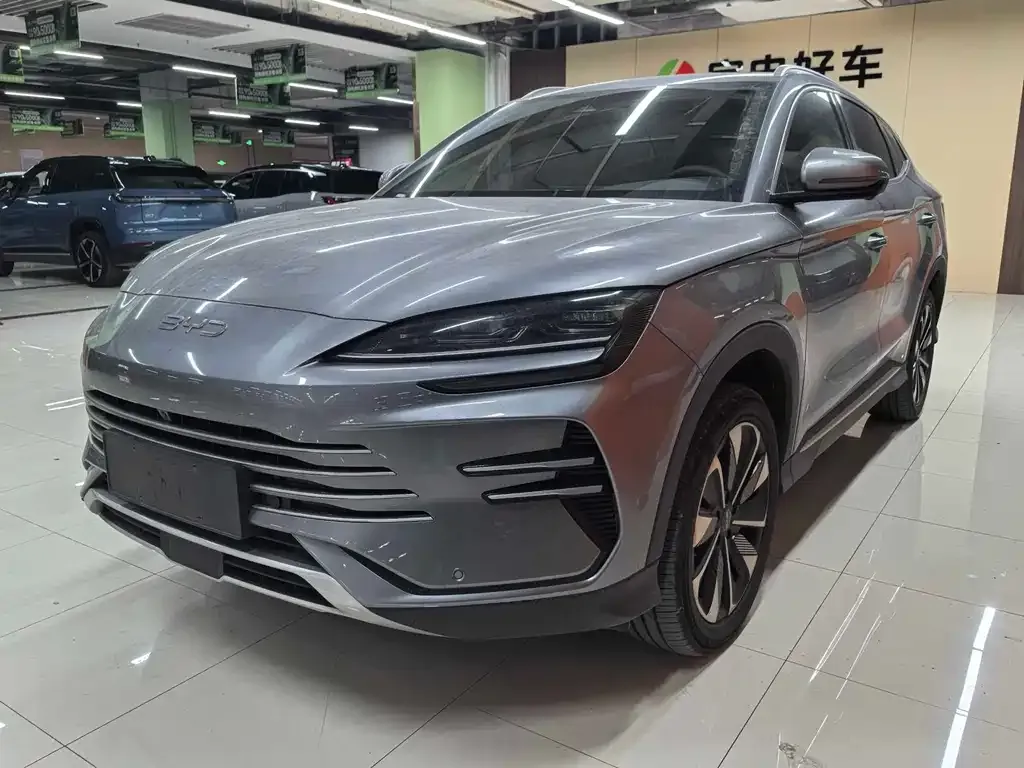 BYD PLUS New Energy 2025 из CN, фото 1
