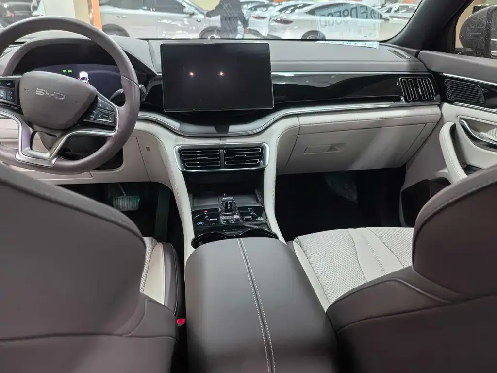 BYD PLUS New Energy 2025 из CN, фото 4