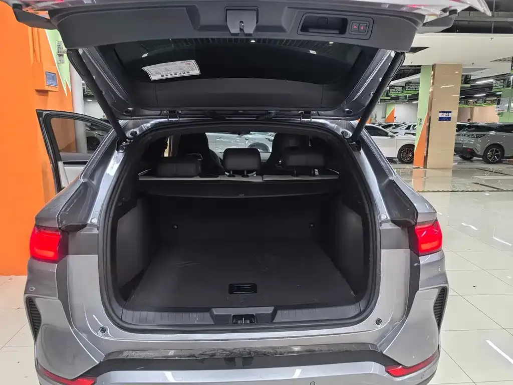 BYD PLUS New Energy 2025 из CN, фото 6