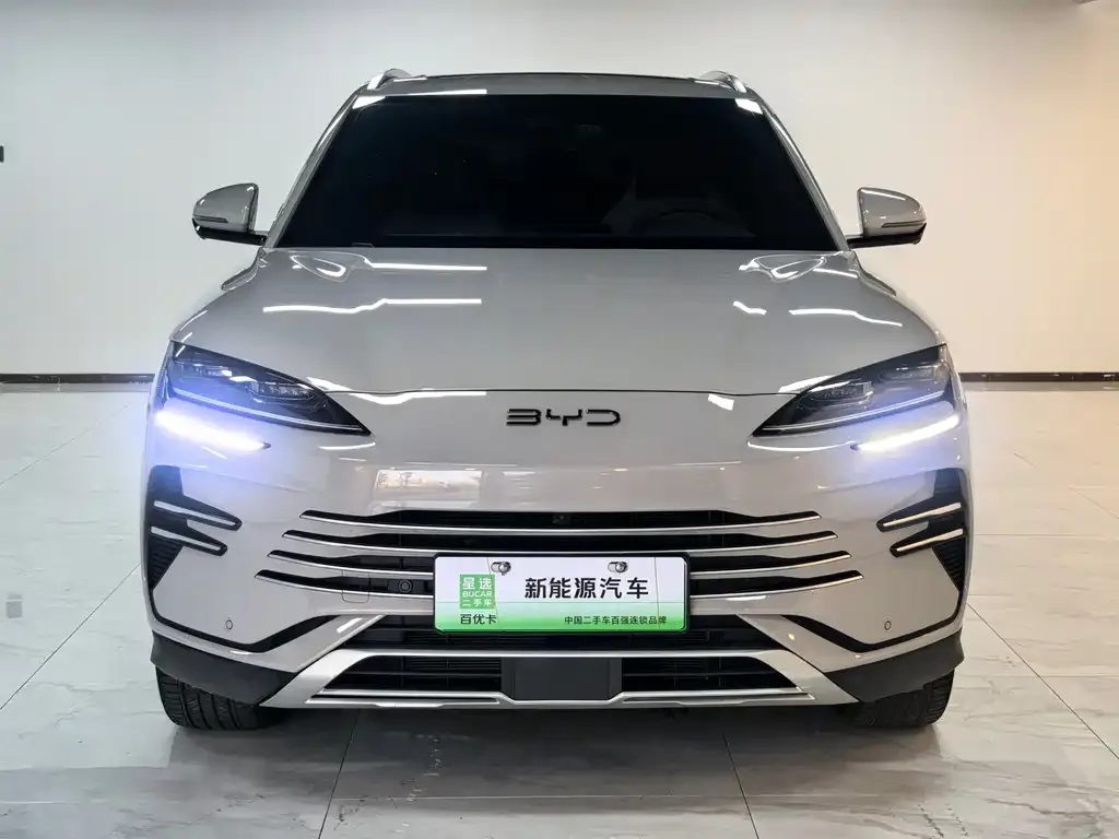 BYD PLUS New Energy 2024 из CN, фото 1