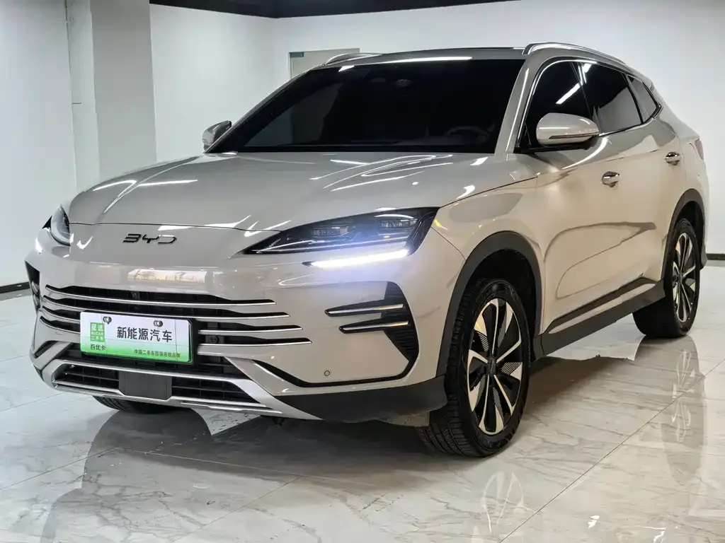 BYD PLUS New Energy 2024 из CN, фото 2
