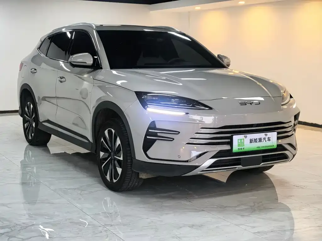 BYD PLUS New Energy 2024 из CN, фото 3