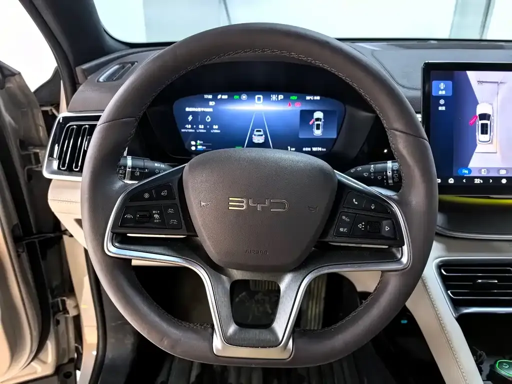 BYD PLUS New Energy 2024 из CN, фото 4