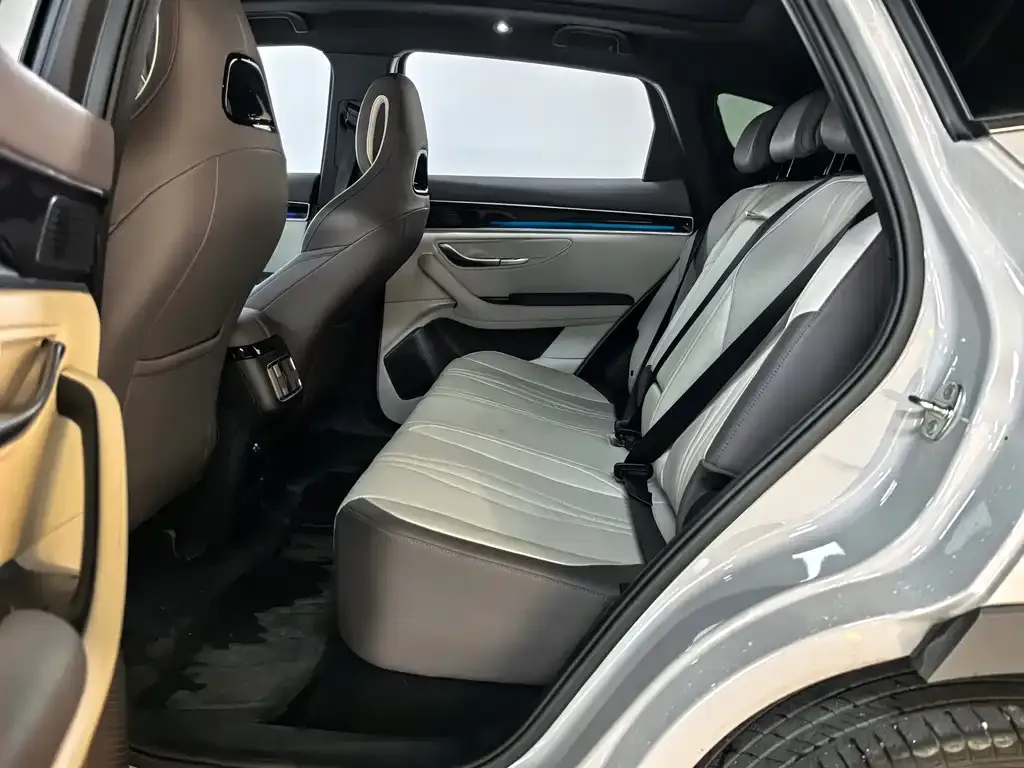 BYD PLUS New Energy 2024 из CN, фото 8