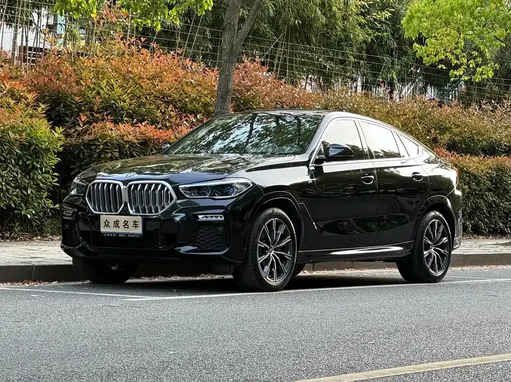 BMW X6 2021 из CN, фото 1