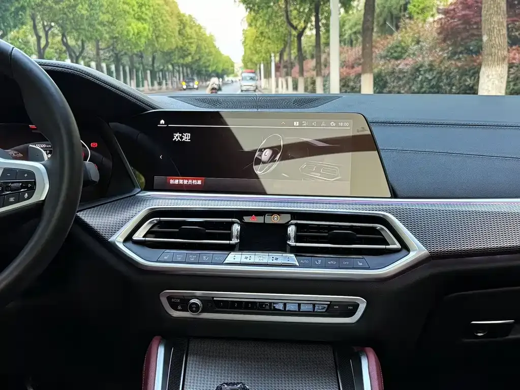 BMW X6 2021 из CN, фото 10
