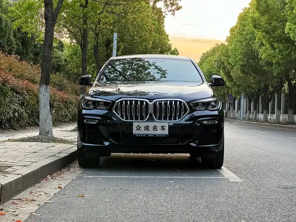 BMW X6 2021 из CN, фото 2