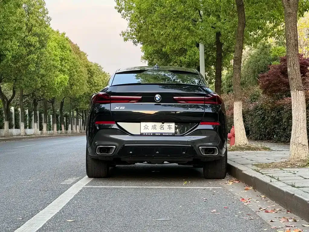 BMW X6 2021 из CN, фото 4