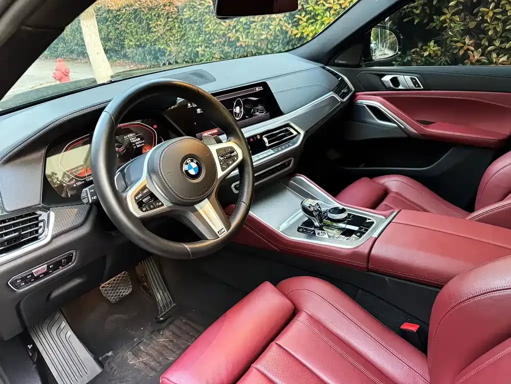 BMW X6 2021 из CN, фото 7