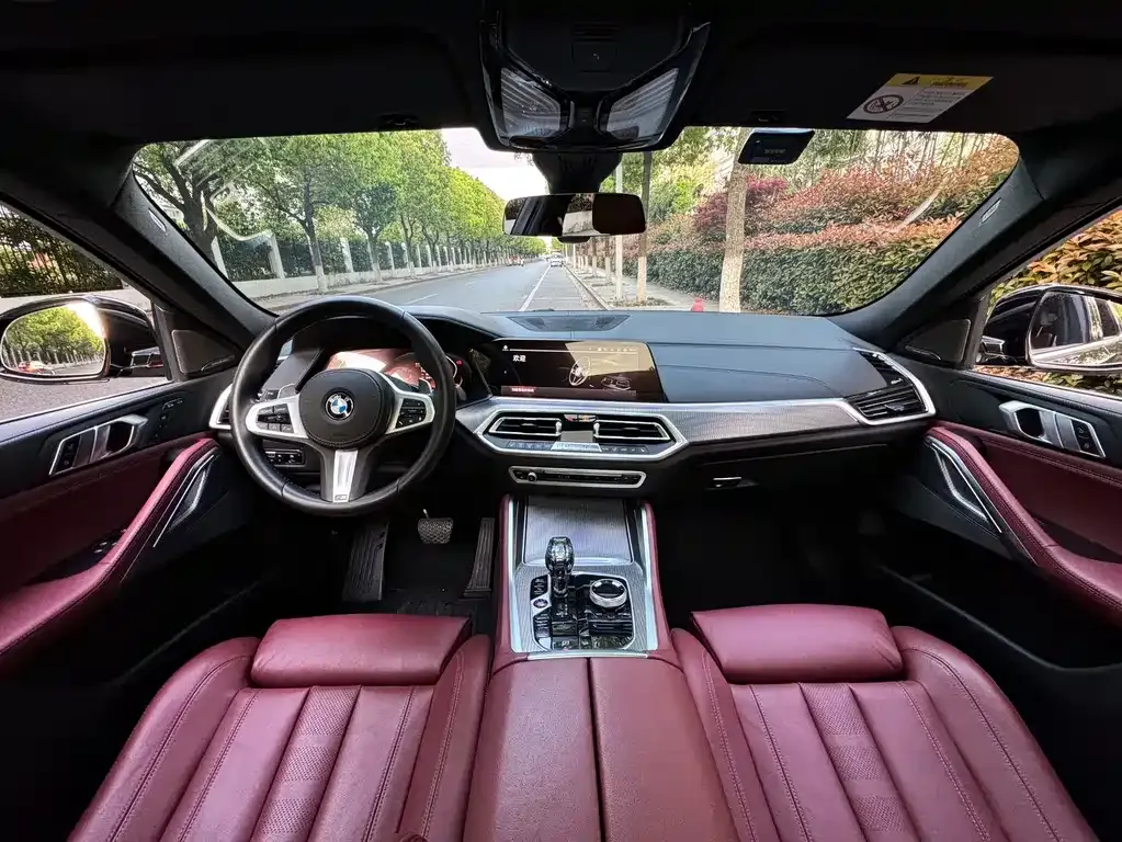 BMW X6 2021 из CN, фото 8