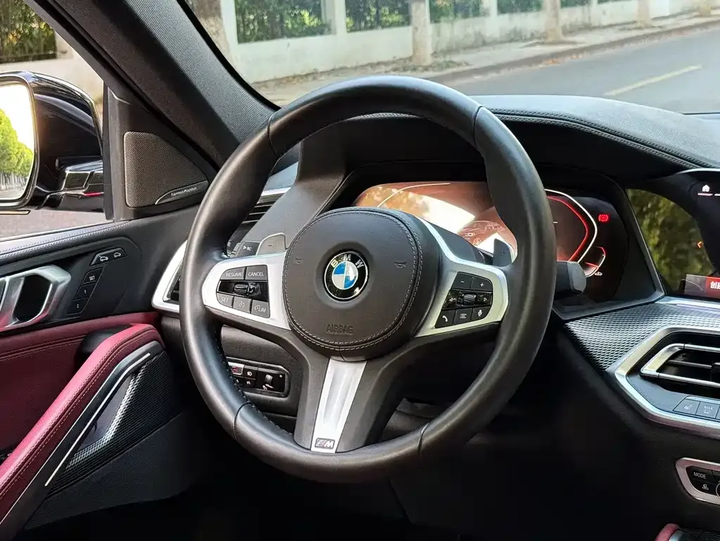 BMW X6 2021 из CN, фото 9