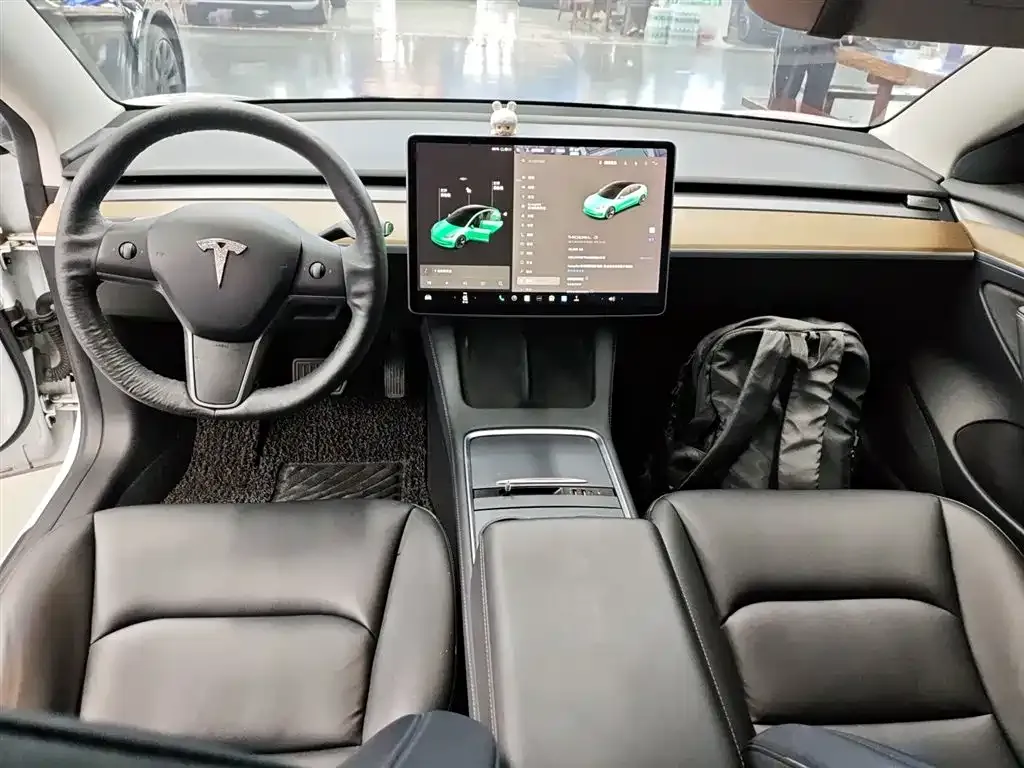 Tesla Model 3 2021 из CN, фото 10