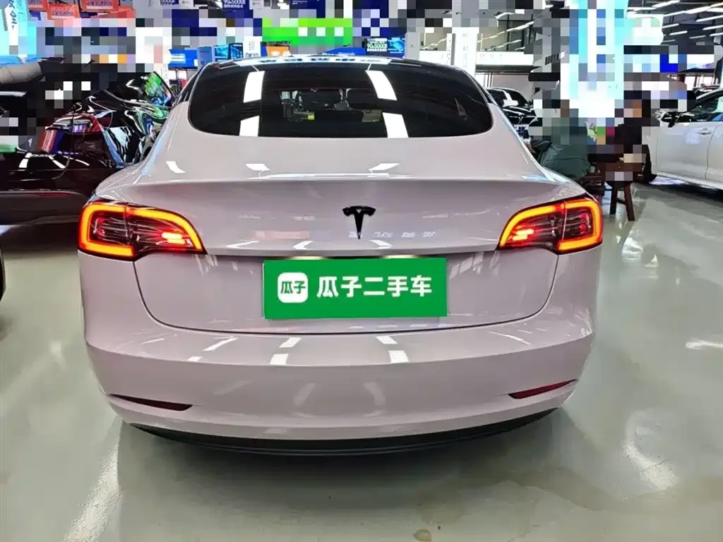 Tesla Model 3 2021 из CN, фото 6