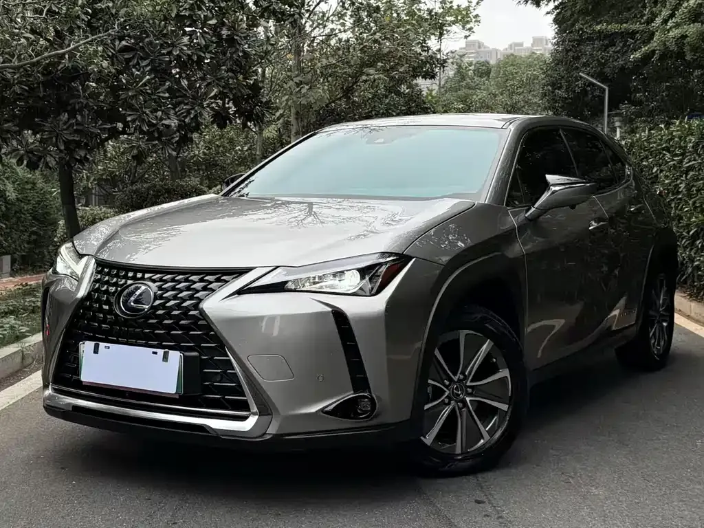 Lexus UX New Energy 2022 из CN, фото 1