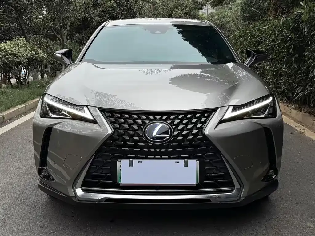 Lexus UX New Energy 2022 из CN, фото 2