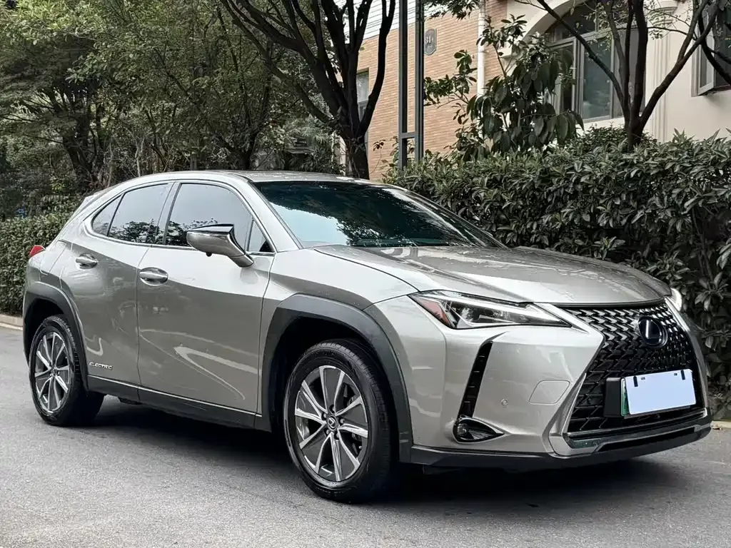Lexus UX New Energy 2022 из CN, фото 3