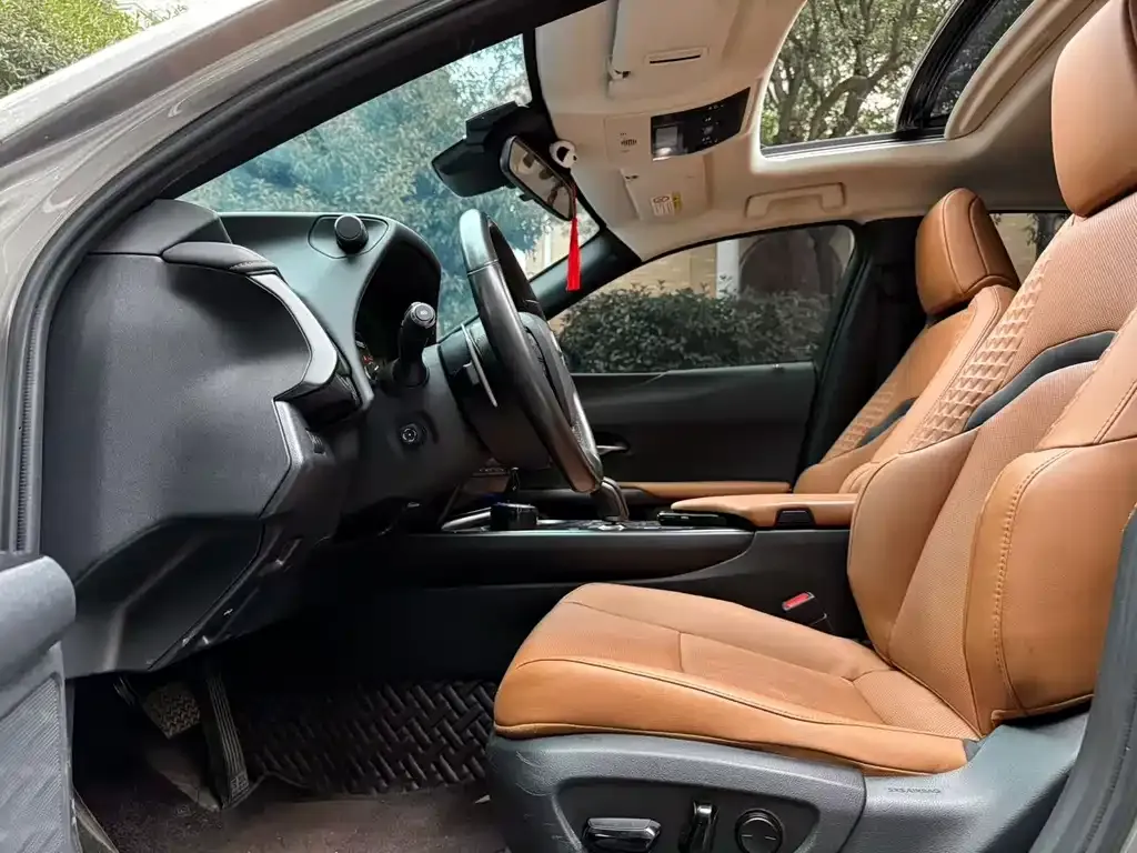 Lexus UX New Energy 2022 из CN, фото 4