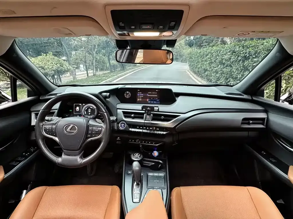 Lexus UX New Energy 2022 из CN, фото 5