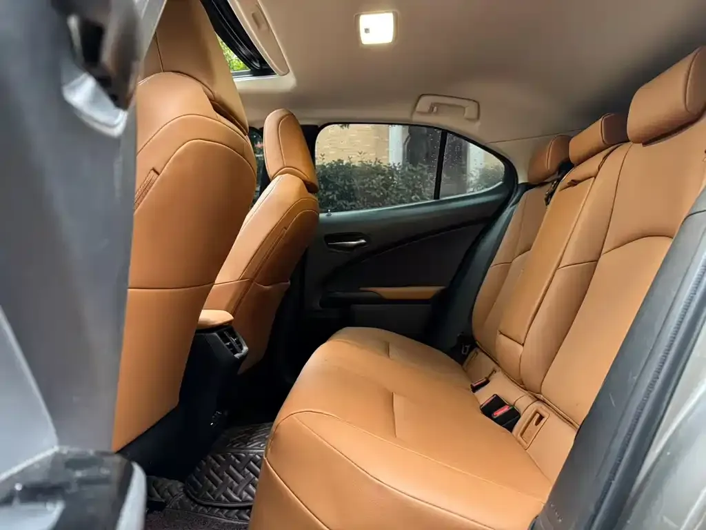 Lexus UX New Energy 2022 из CN, фото 6