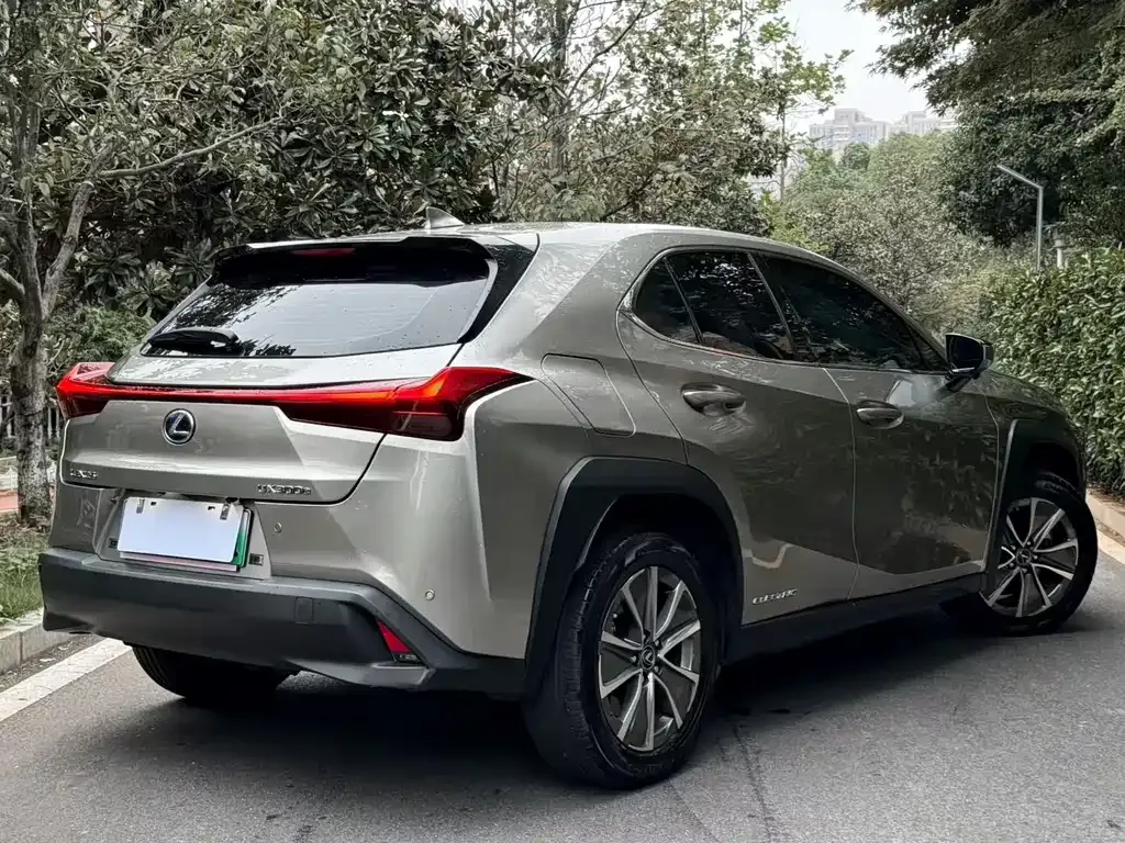 Lexus UX New Energy 2022 из CN, фото 7