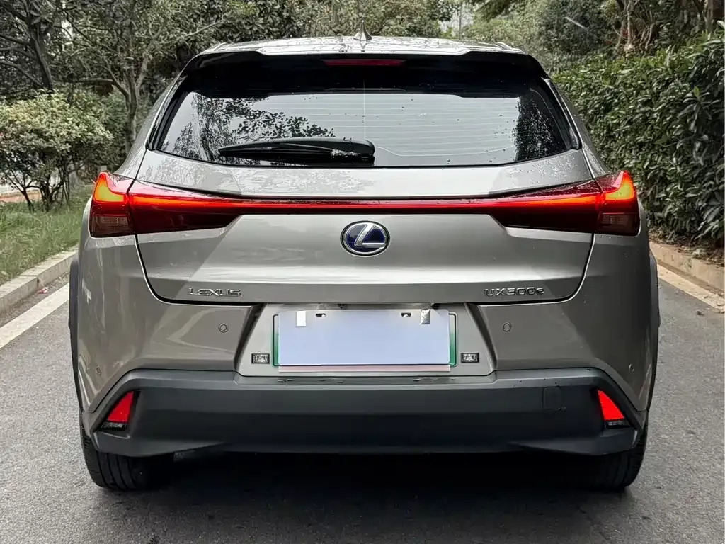 Lexus UX New Energy 2022 из CN, фото 8