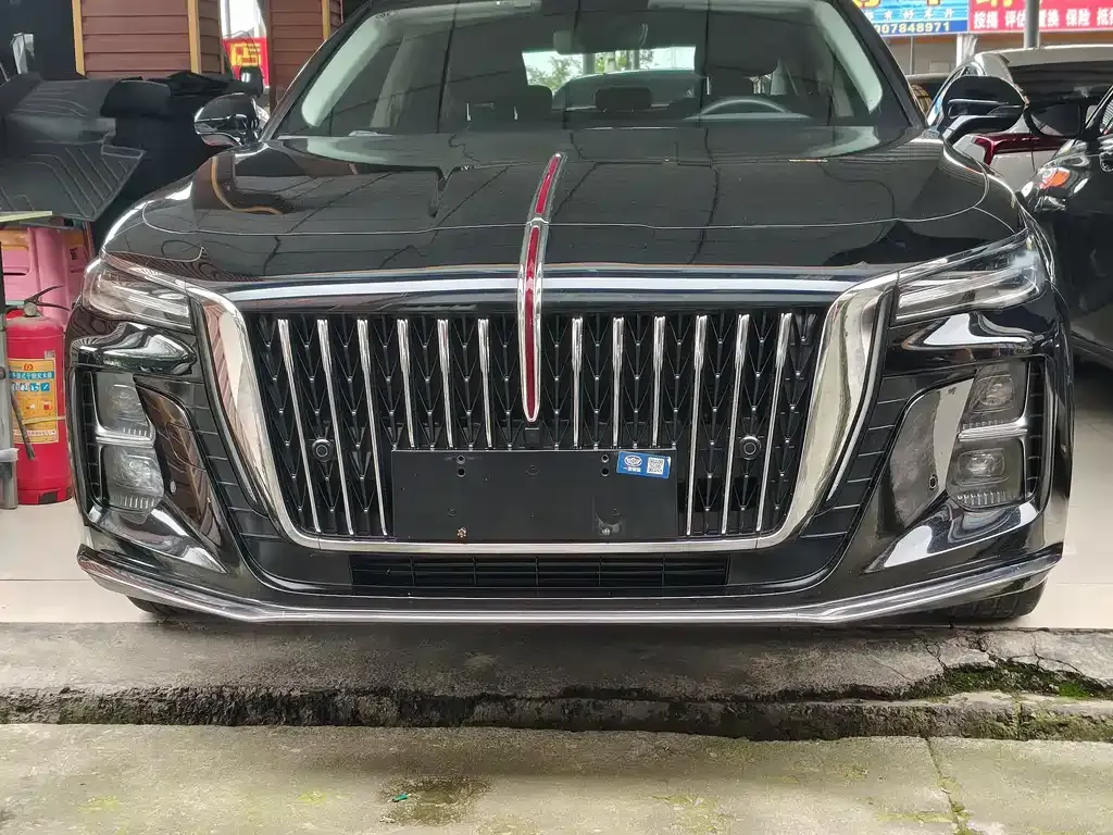 Hongqi H5 2023 из CN, фото 2
