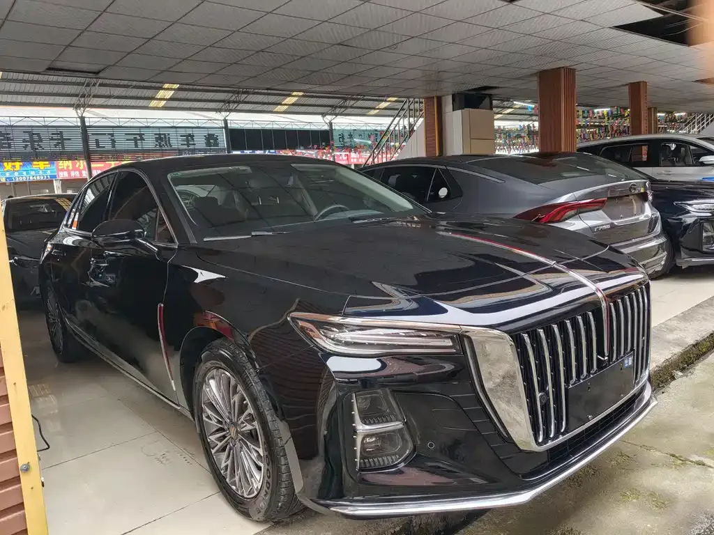 Hongqi H5 2023 из CN, фото 3