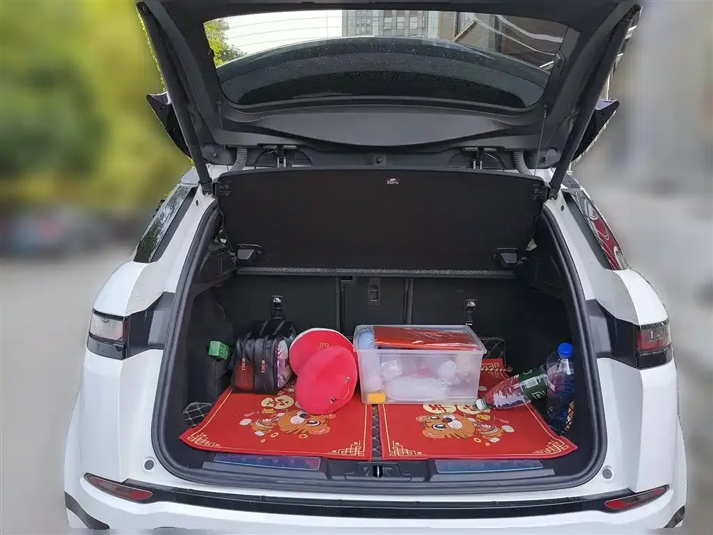 Land Rover Evoque 2021 из CN, фото 10