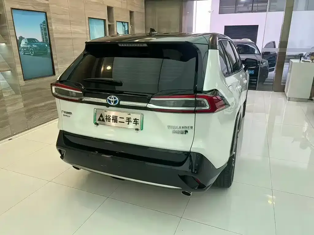 [object Object] Wildlander New Energy 2021 из CN, фото 8