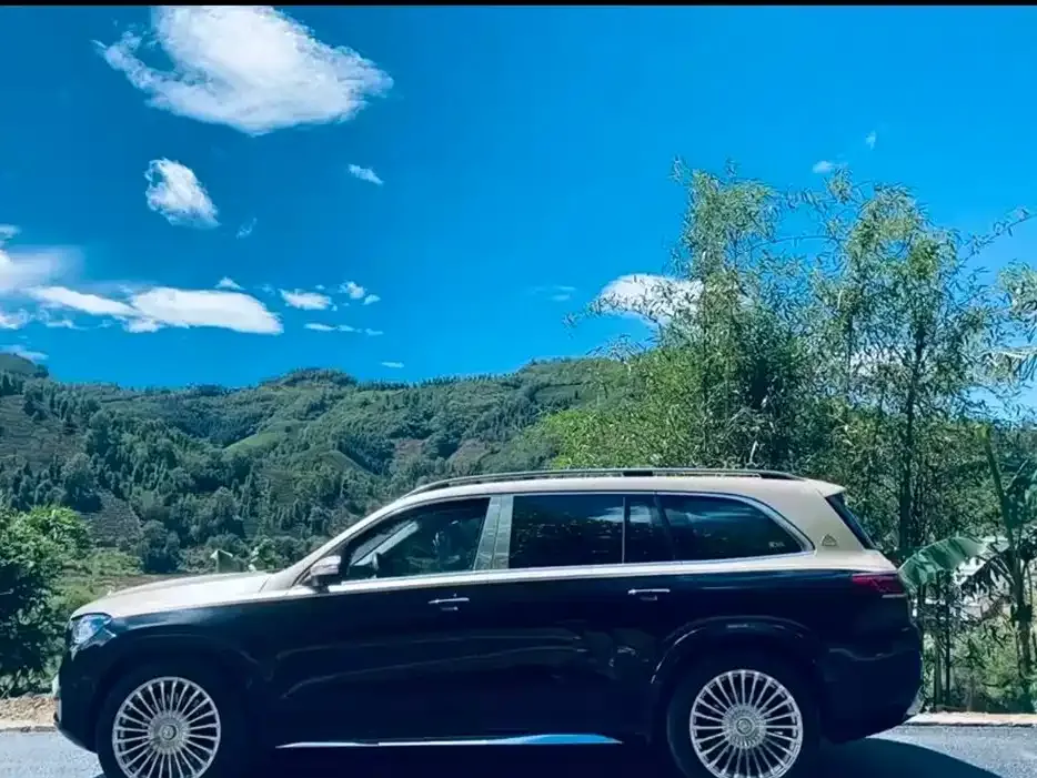 Mercedes-Benz GLS 2022 из CN, фото 4