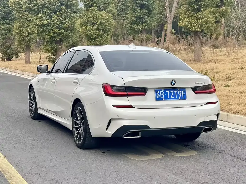 BMW 3 Series 2021 из CN, фото 6