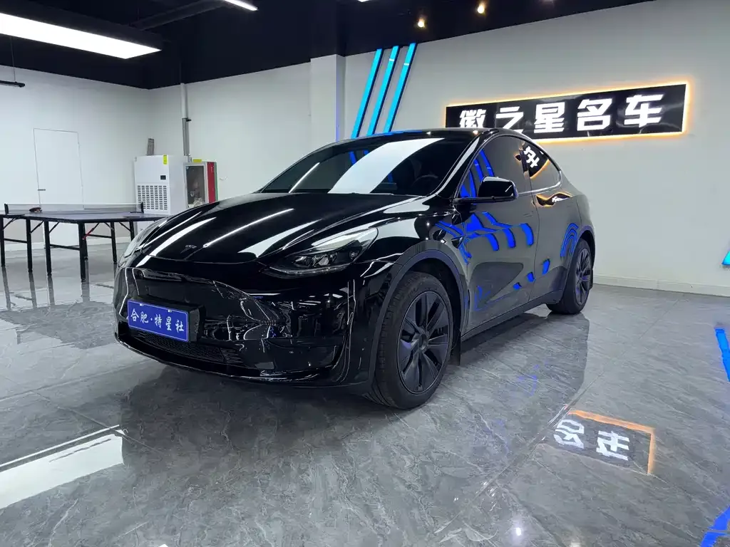 Tesla Model Y 2024 из CN, фото 1