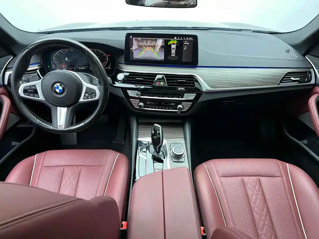 BMW 5 Series 2022 из CN, фото 5