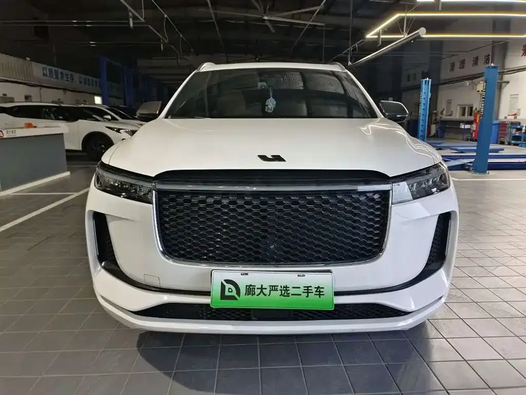 Li Auto ONE 2021 из CN, фото 2