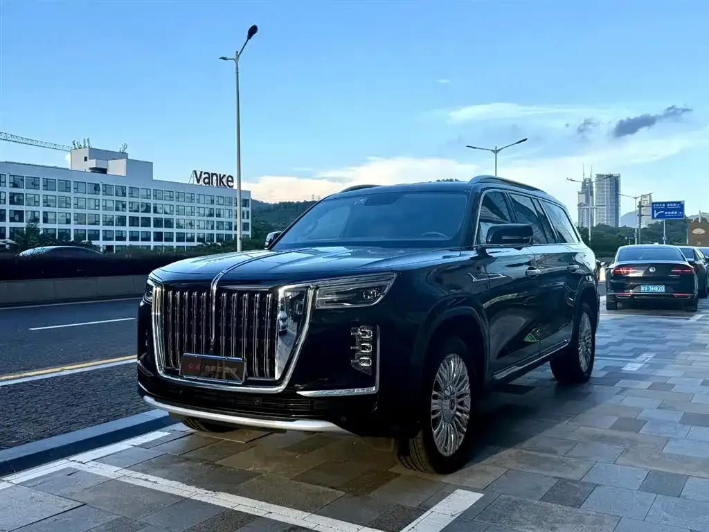 Hongqi Golden Sunflower Guoyao 2024 из CN, фото 1