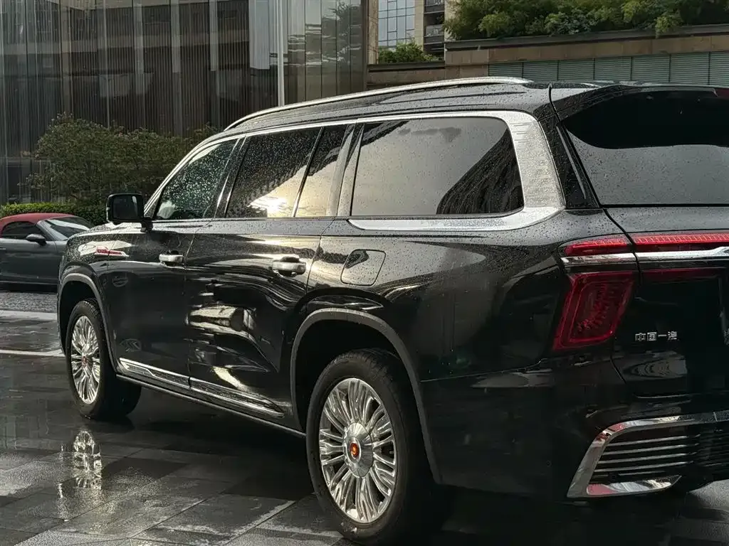 Hongqi Golden Sunflower Guoyao 2024 из CN, фото 3
