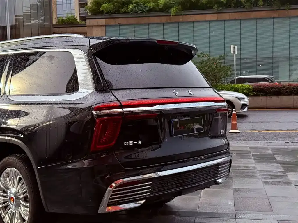 Hongqi Golden Sunflower Guoyao 2024 из CN, фото 4
