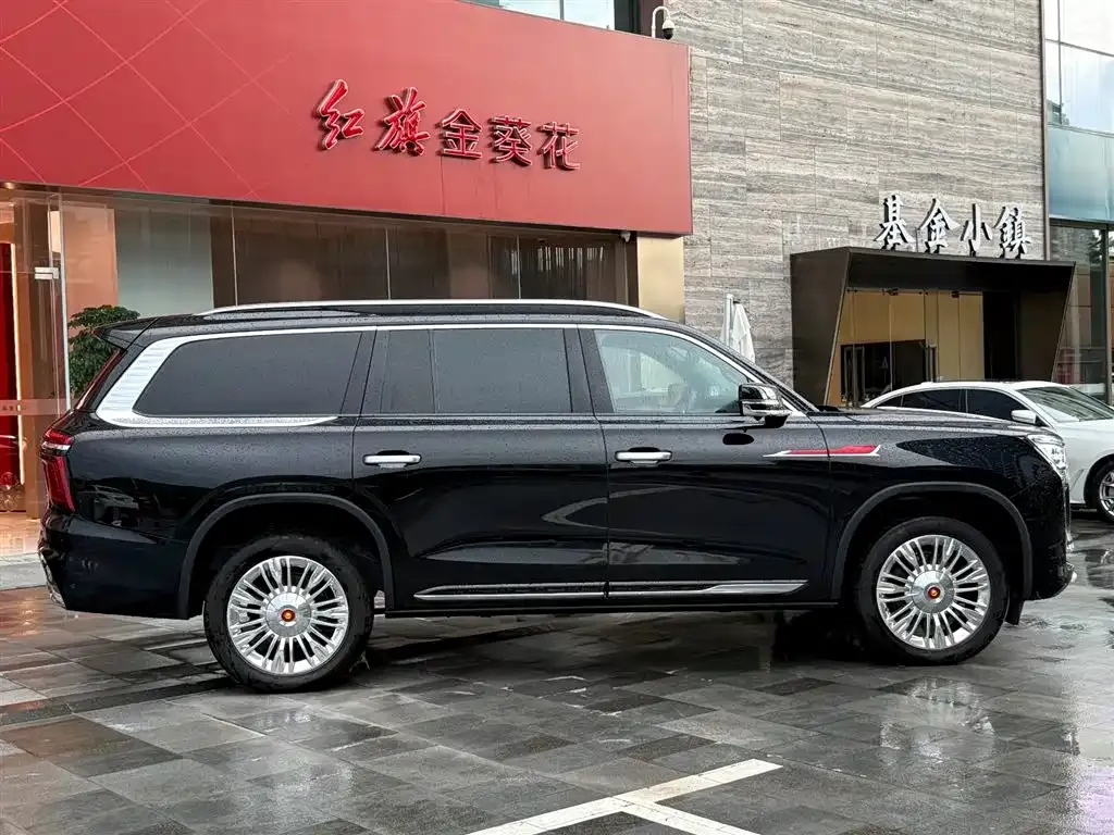 Hongqi Golden Sunflower Guoyao 2024 из CN, фото 5