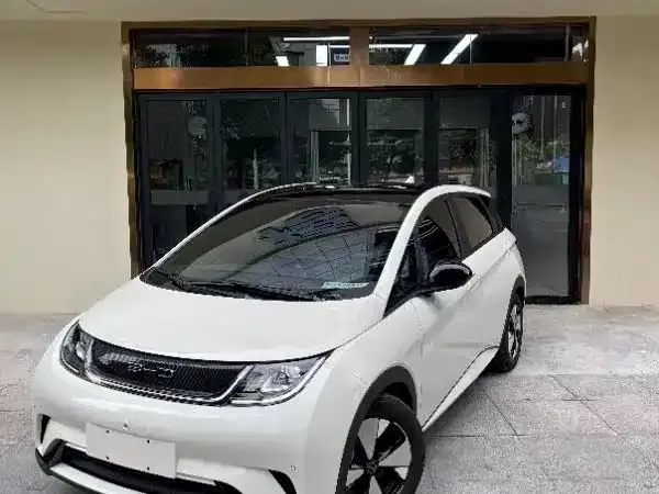 BYD Dolphin 2024 из CN, фото 1