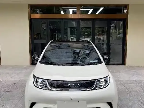 BYD Dolphin 2024 из CN, фото 2