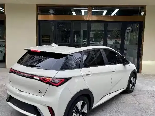 BYD Dolphin 2024 из CN, фото 4