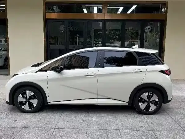 BYD Dolphin 2024 из CN, фото 6