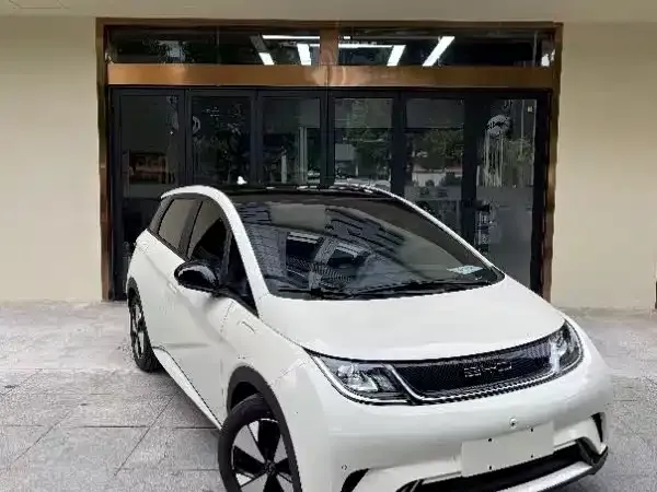 BYD Dolphin 2024 из CN, фото 8