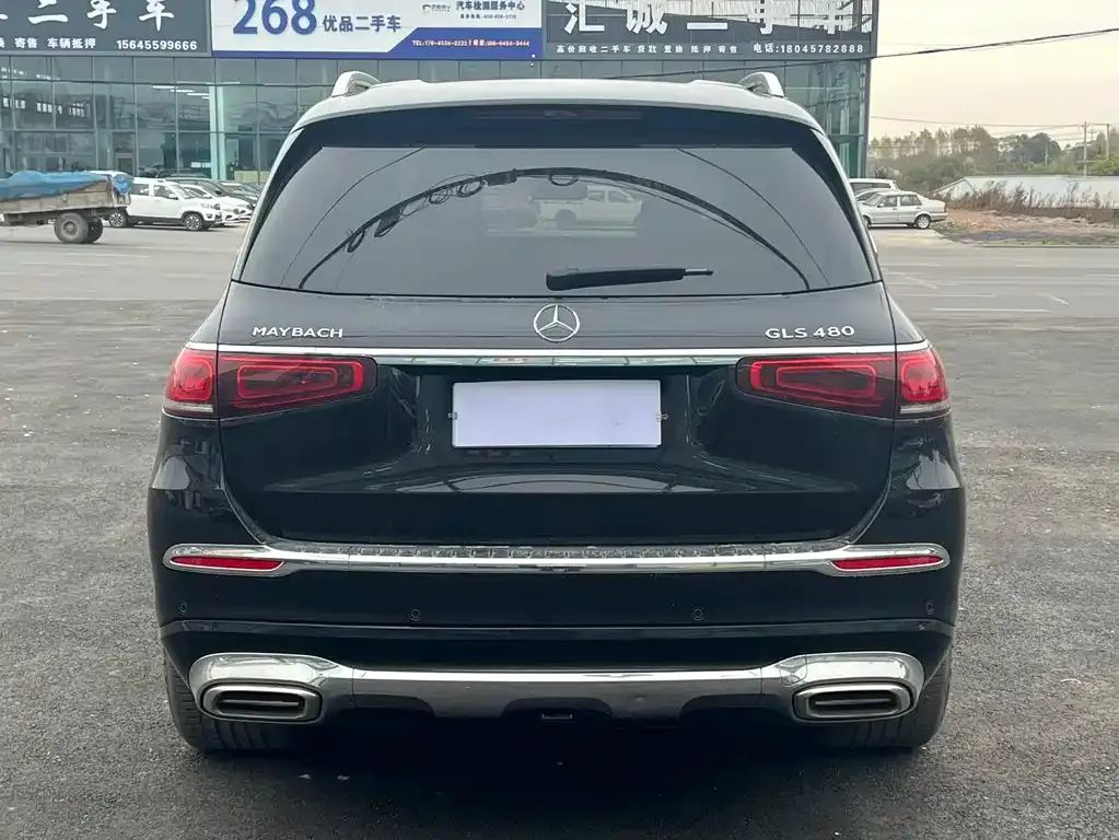 Mercedes-Benz GLS 2022 из CN, фото 9