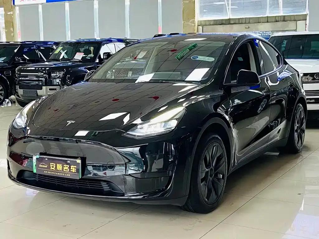 Tesla Model Y 2023 из CN, фото 2