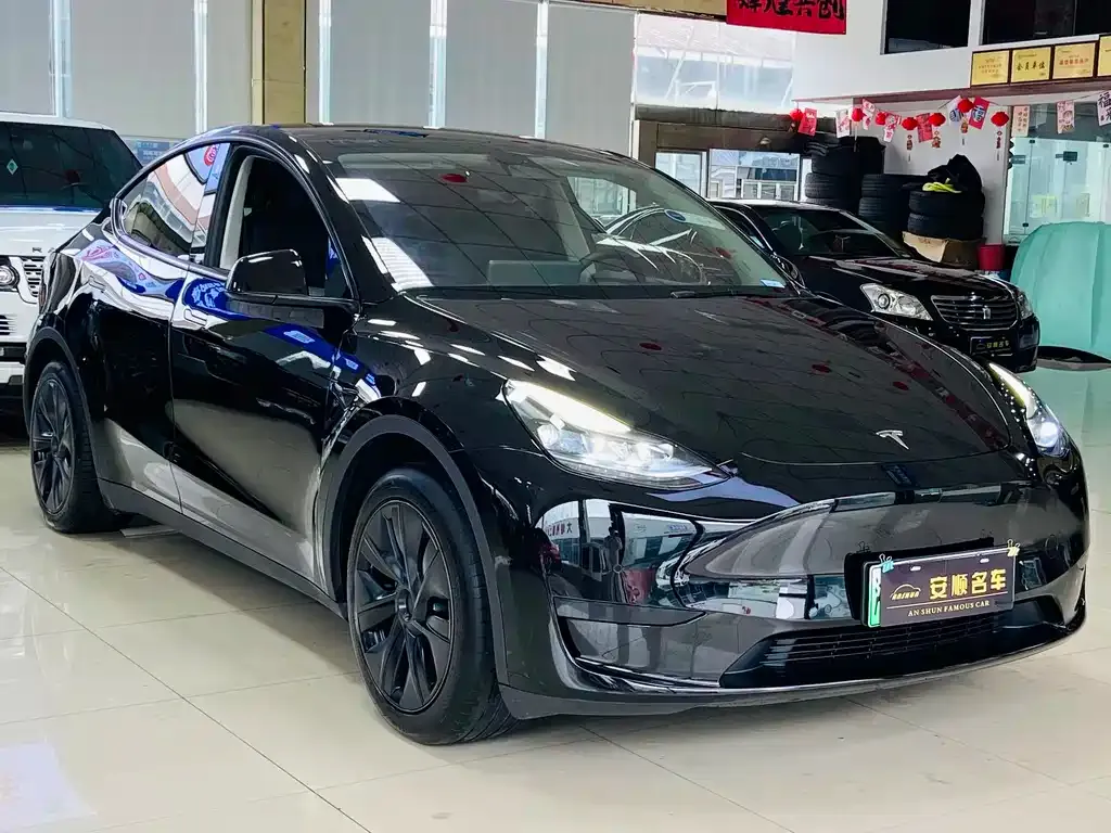Tesla Model Y 2023 из CN, фото 3