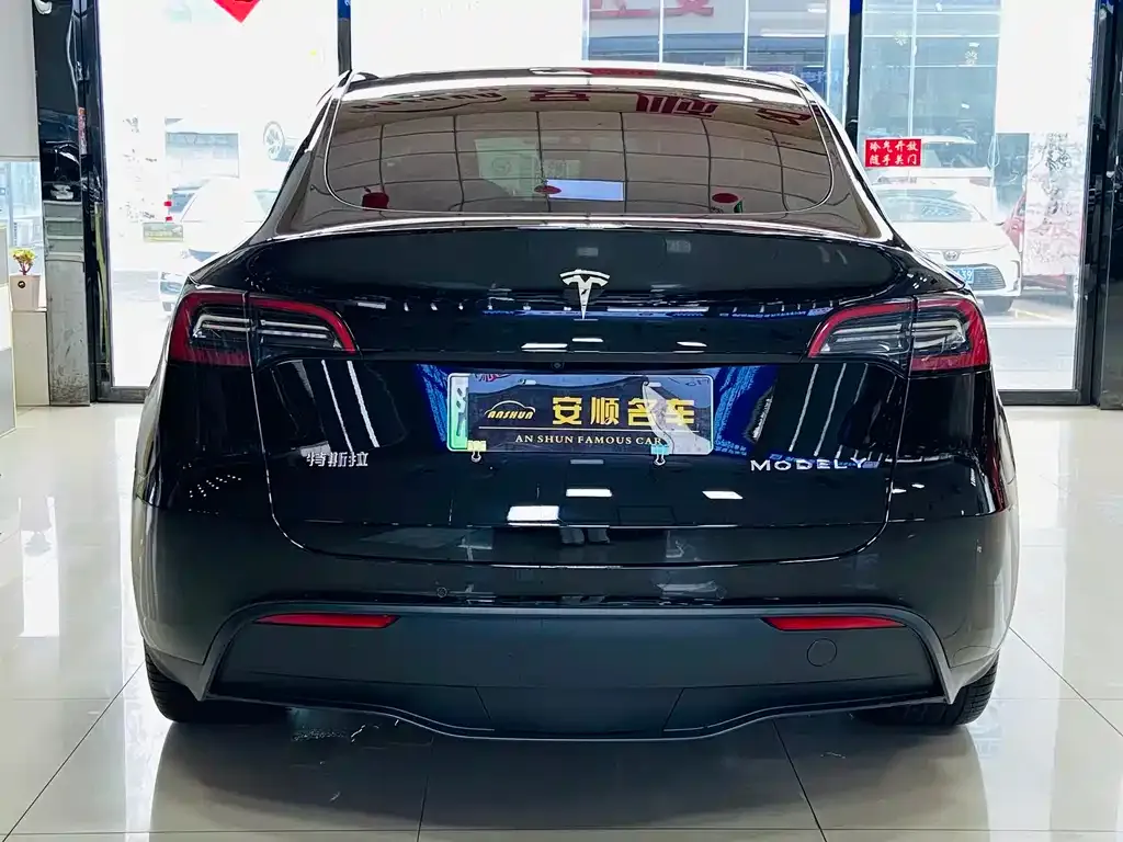 Tesla Model Y 2023 из CN, фото 4