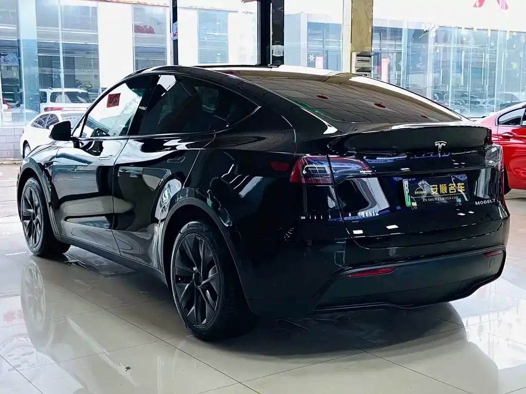 Tesla Model Y 2023 из CN, фото 5