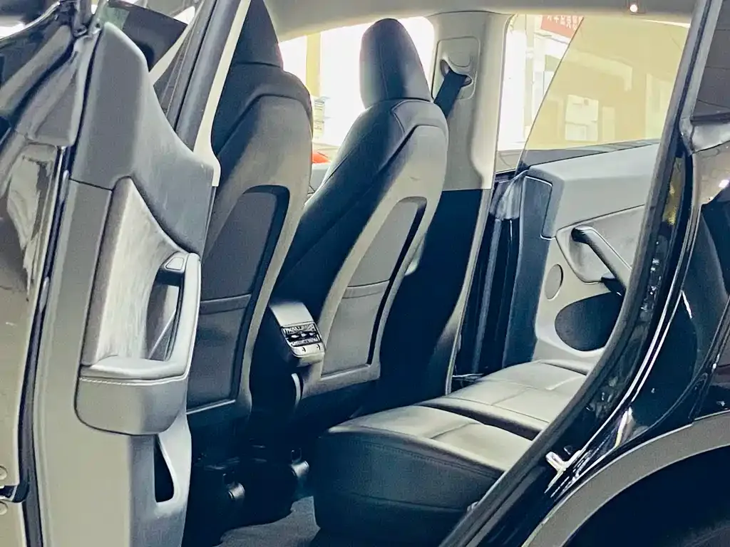 Tesla Model Y 2023 из CN, фото 9